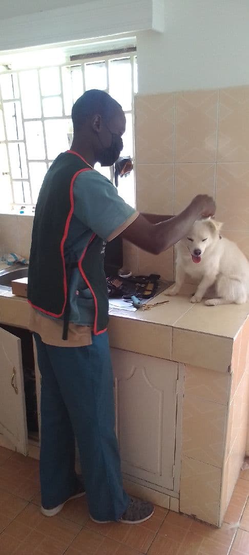 we love taking care of your fur babies
